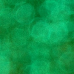 Bokeh-434